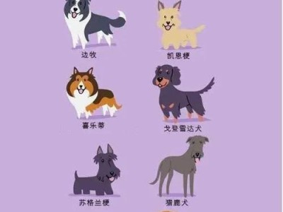 爱尔兰雪达犬的饲养方法（一步步教你如何照顾一只爱尔兰雪达犬）