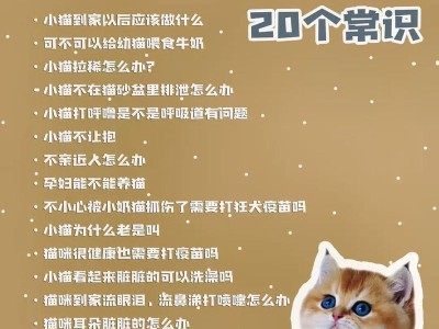猫杯携带必知的注意事项（为你的猫安全而携带——猫杯的使用指南）