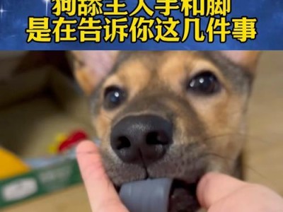 狗狗突然舔我们脚的原因（探究狗狗舔脚的行为及其含义）