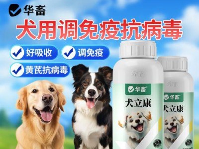 狗狗发烧的表现及原因分析（揭开狗狗发烧的不同表现和常见原因）