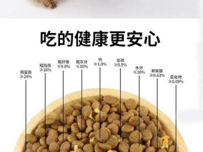 泰迪犬的饮食管理及注意事项（成年泰迪狗粮的合理摄入量与注意事项）