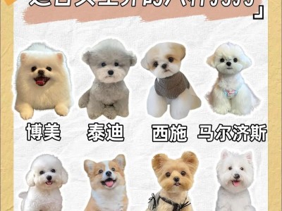 选择一只适合家庭的狗狗（解读狗狗品种，为您提供养狗的参考建议）