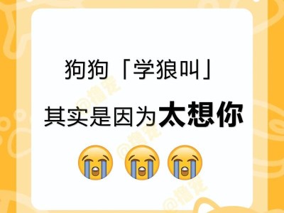 边牧学狼叫的意义与方法（通过狼叫训练提升边牧工作能力）