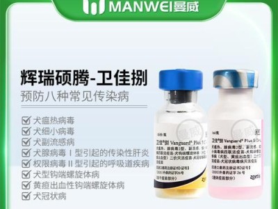 狗疫苗几联是什么意思？（深入了解狗疫苗的联合性及其重要性）