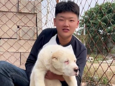 中亚犬（探究中亚犬为什么如此强大）
