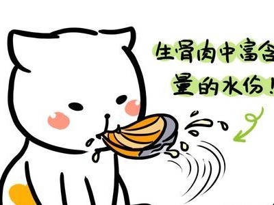 为什么猫不喜欢吃碎的猫粮？（探究猫对碎猫粮的偏好及原因）