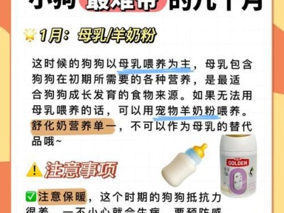 狗子的一生（从出生到老去，揭开狗子成长的秘密）