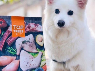 狗狗怀孕期间的适当进补与护理（狗狗怀孕进补的关键时机及注意事项）