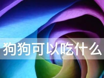 狗狗中毒后康复的饮食指南（宠物犬中毒后如何通过正确饮食促进康复）