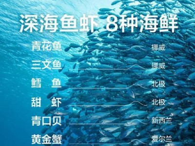 营养丰富的食物适合虾猫食用（探索虾猫的饮食习惯和健康食谱）
