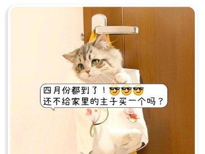 猫咪的梳毛习惯与时间（探索猫咪开始梳毛的最佳时间点）