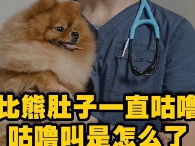揭秘狗狗突然咕咕叫的原因（探究狗狗咕咕叫背后的奥秘）