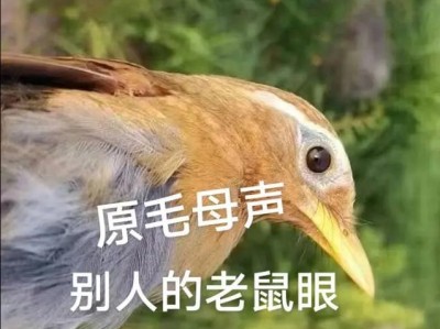 画眉鸟嫩底（唤醒肌肤的自然之力，呈现清新亮丽的底妆效果）