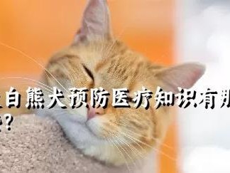 如何合理饲养大白熊犬（大白熊犬的健康生活）