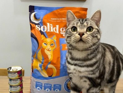 以宠物为主，探讨小猫饮食习惯和消化系统健康问题（以宠物为主，探讨小猫饮食习惯和消化系统健康问题）