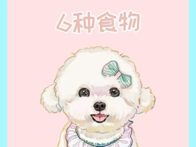 比熊幼犬的饮食要点（不同阶段的比熊幼犬可以喂的食物参考）