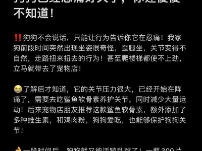 五个月大的狗如何照顾好？（注意事项和关键阶段）