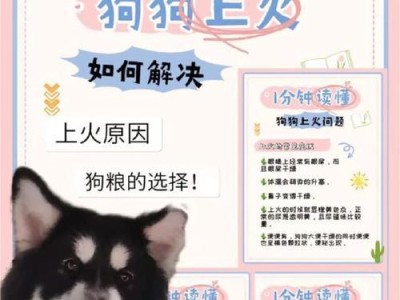 揭秘狗狗频繁有眼屎的原因（为什么狗狗的眼睛总是有眼屎？解决眼屎问题的关键！）