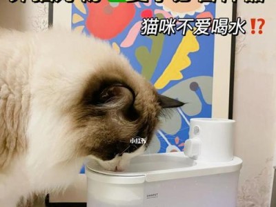 如何让宠物猫咪多喝水？（15种方法帮助猫咪养成饮水习惯）