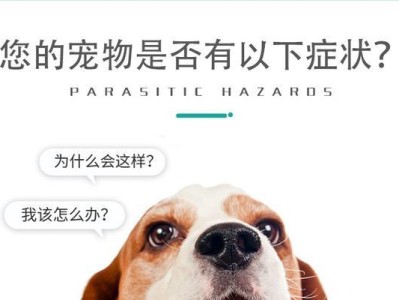 小狗驱虫的注意事项（以宠物为主，健康为重）