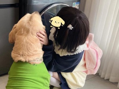 狗的日常护理（关注你的爱犬健康与幸福的15个必要步骤）