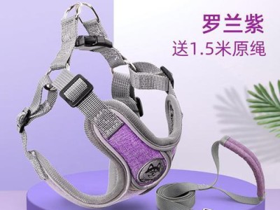 柯基犬牵引绳选择指南（为你的柯基犬选择合适的牵引绳）