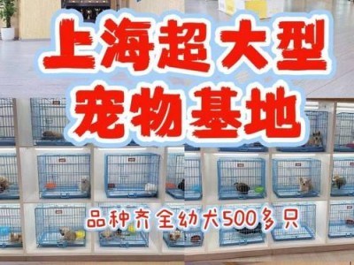 以萨摩耶配一次狗的费用及相关信息（了解以萨摩耶配狗的价格及相关问题）