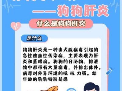 狗狗得肝炎该如何治疗？（探究针对狗狗肝炎的药物治疗方法）