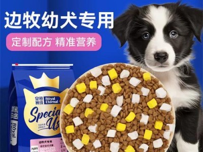 养狗指南（每天喂食多少狗粮才是适量？）