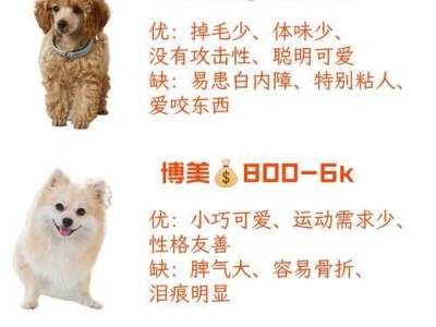 选择适合初次养狗者的不贵又好上手的狗狗（推荐几种适合初次养狗者的狗狗品种）