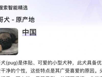 提升饲养法斗技巧的15个方法（让你一生受益的养狗经验分享）