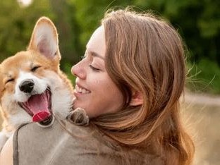 如何测试是否适合养狗（以快来测试一下自己是否准备好成为宠物狗的主人）