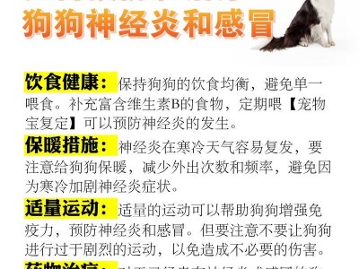 小狗感冒的原因及预防方法（了解小狗感冒的成因，保护它们免受疾病的侵袭）