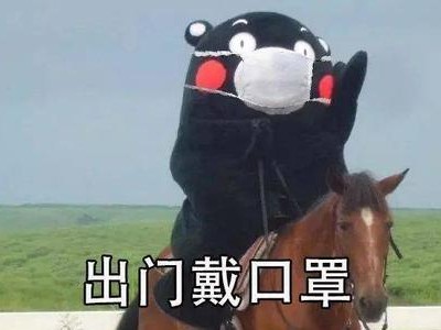 雾霾天气下的狗狗出行安全指南（如何保护宠物健康，避免雾霾危害）