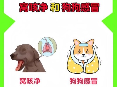 如何帮助狗痰咳出来？（提供有效方法让你的爱犬舒畅呼吸）