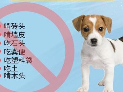 昆明犬的饲养方法（宠物爱好者必看，昆明犬的健康饲养之道）