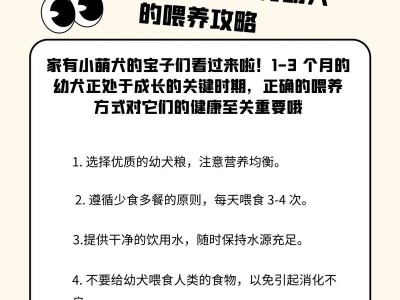 幼犬法斗的养育指南（关键营养、适宜环境、合理训练——助您成为合格法斗主人）