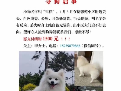 寻找一只合适的狗名字（以一般狗的名字叫什么名字好？）