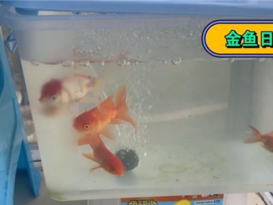 锦鲤鱼的混养搭配之道（探索与锦鲤鱼相容的最佳混养伙伴）