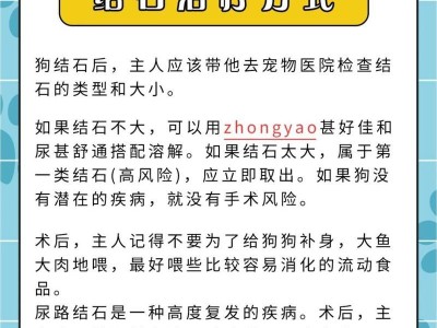 狗狗尿路结石（了解狗狗尿路结石的常见症状，采取预防和治疗措施）