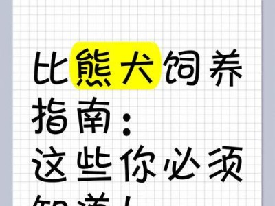 养比熊犬新手指南（从选购到训练，打造幸福比熊家庭）