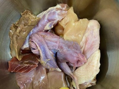 14天的拉布拉多该吃什么药？（选择合适的药物关键在于照顾犬只健康）