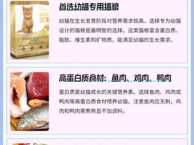 幼猫的饮食需求与养护指南（每周幼猫饮食安排及关键营养素的提供）