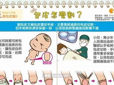 如何正确饲养琉球兔，让它健康成长？
