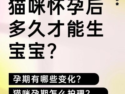 猫的怀孕周期短，一般可以自己完成整个生育过程（揭秘猫的生育奇迹，了解猫咪的独特生理特点）