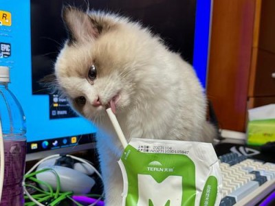 三个月大猫的饮食需求（合理的饮食是宠物猫健康成长的关键）