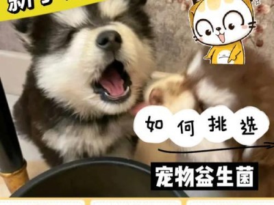 狗狗粪便中的细菌（揭开狗狗粪便中细菌的奥秘，保护人与宠物的健康）