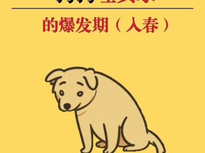 狗狗呕吐，原因与解决方法一览（探究狗狗呕吐的常见原因和有效解决方法，让你的宠物健康快乐）