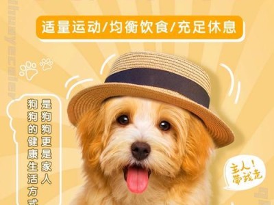 老年狗狗的补充需求（关爱老年狗狗的营养需求与保健措施）