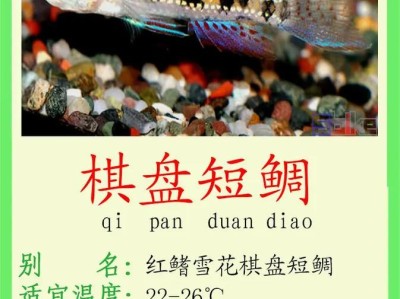 酋长短鲷饲养方法详解（打造美丽家庭水族馆，提高养殖效益）
